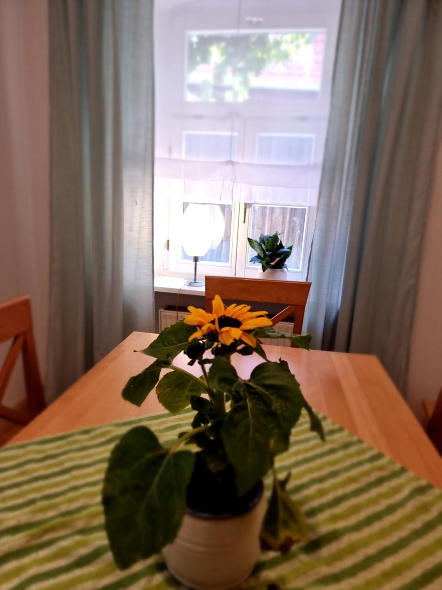 Ferienwohnung Boehm Segnitz Номер фото